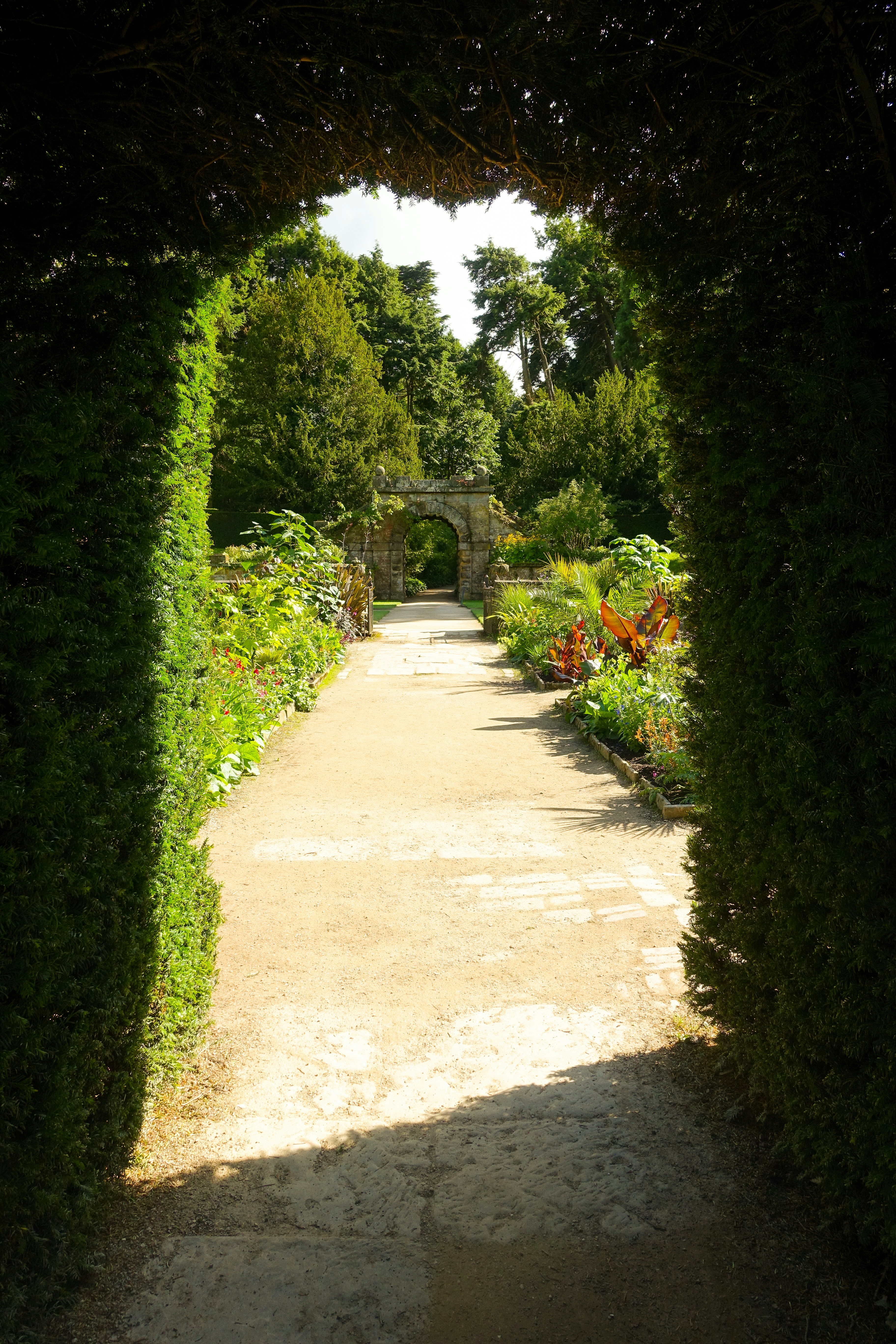 a path through a lush green forest filled with lots of trees