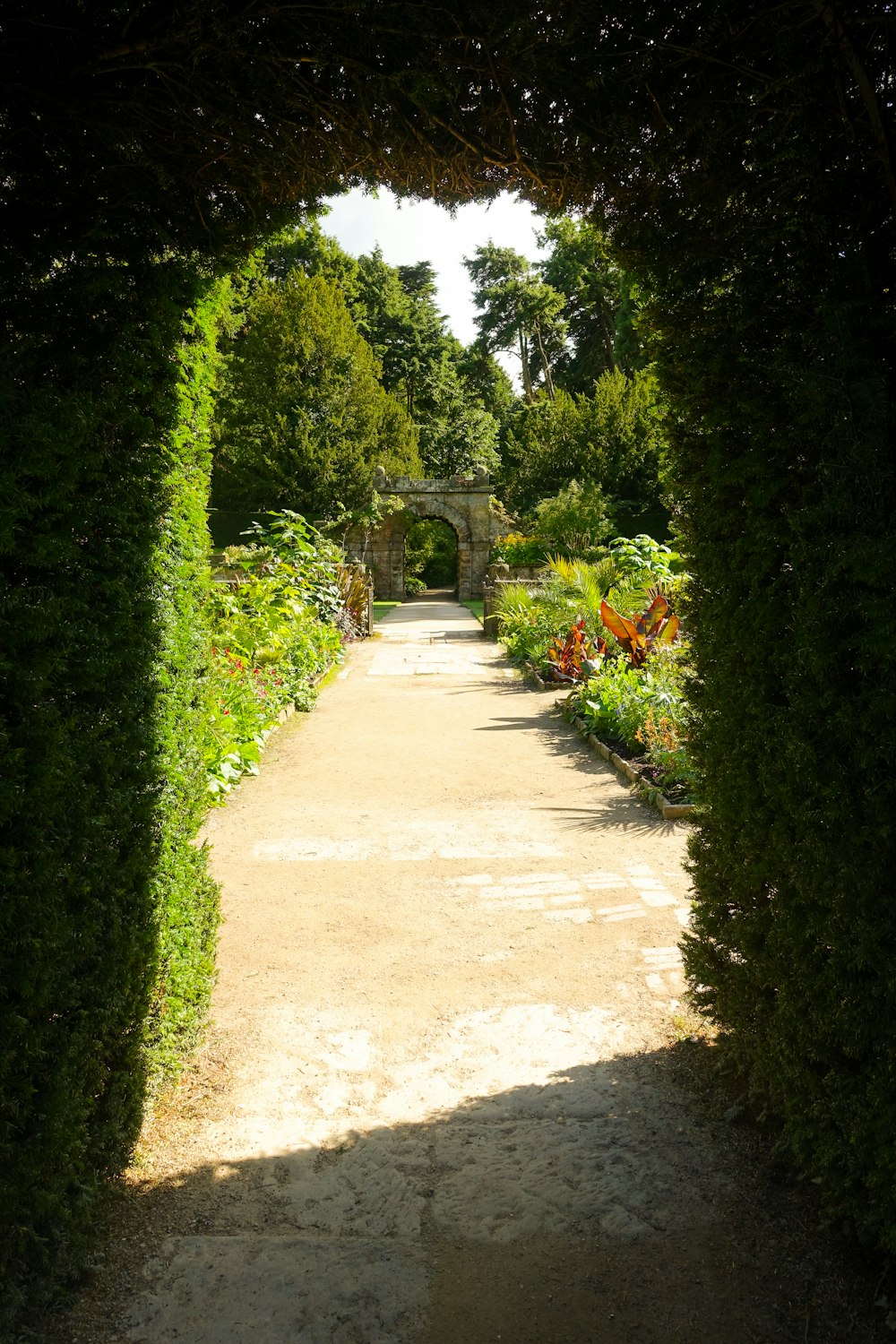 a path through a lush green forest filled with lots of trees