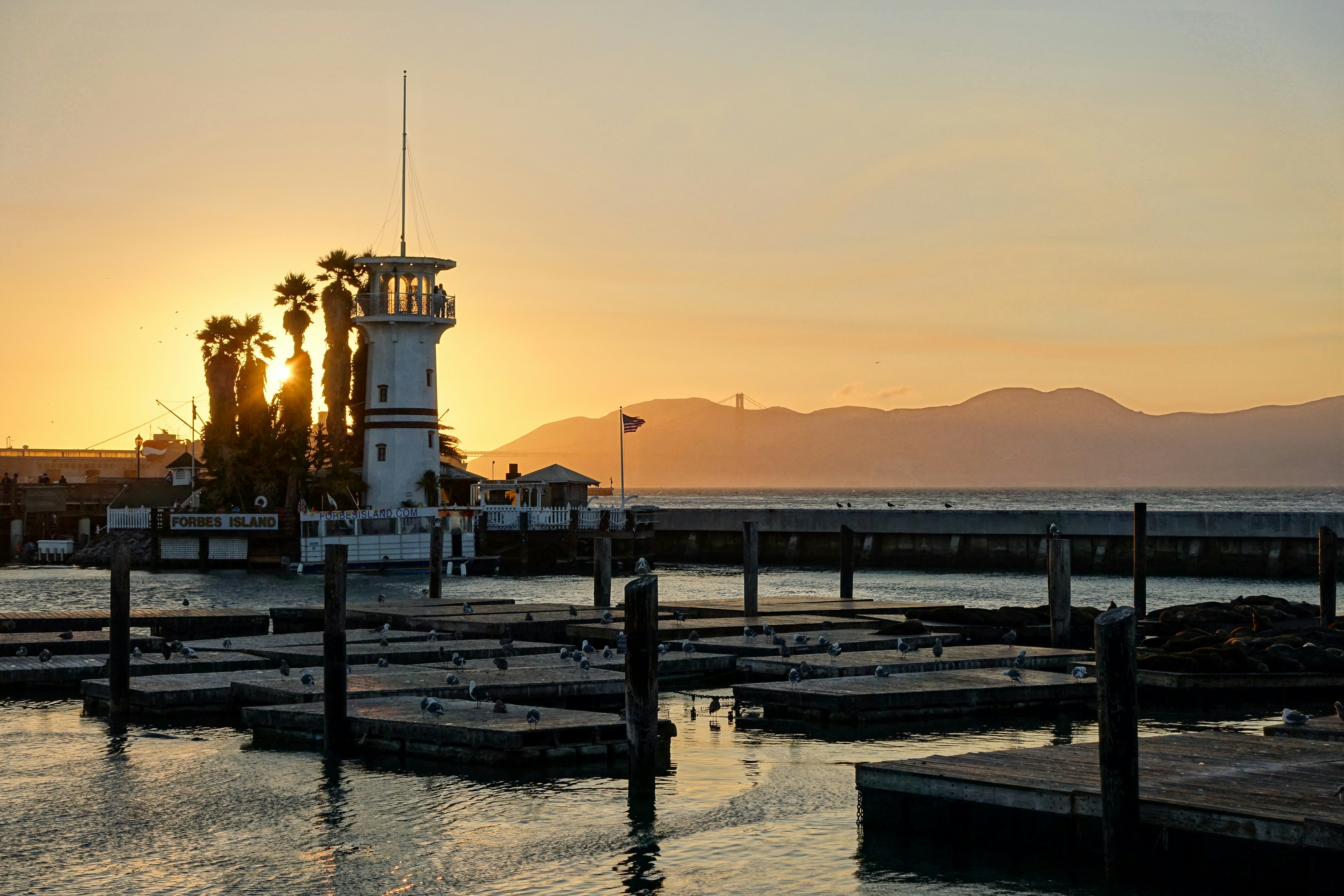 dock during golden hour
