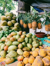 A vibrant fruit stall displaying a variety of fruits including coconuts, pineapples, and mangoes. The mangoes are piled in abundance, and the pineapples hang in rows. The scene is set outdoors with lush greenery in the background, providing a natural and tropical ambiance.