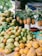 A vibrant fruit stall displaying a variety of fruits including coconuts, pineapples, and mangoes. The mangoes are piled in abundance, and the pineapples hang in rows. The scene is set outdoors with lush greenery in the background, providing a natural and tropical ambiance.