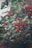 Clusters of vibrant red, spiky fruits hang from branches amidst an abundance of glossy green leaves. The scene is filled with natural textures and varying shades of green, brown, and red, creating a lush and lively forest setting.