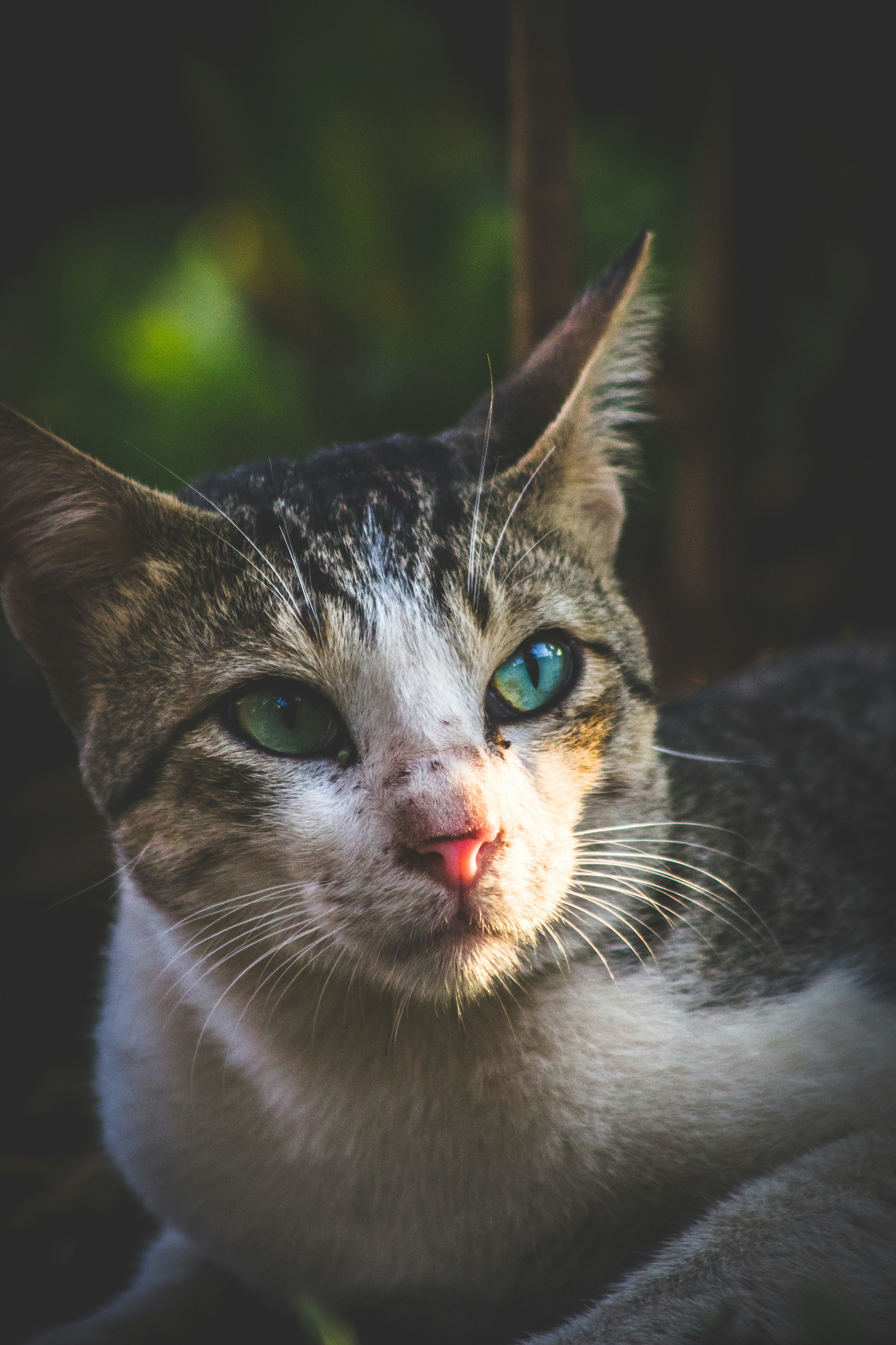 Photo by theabdullahalam