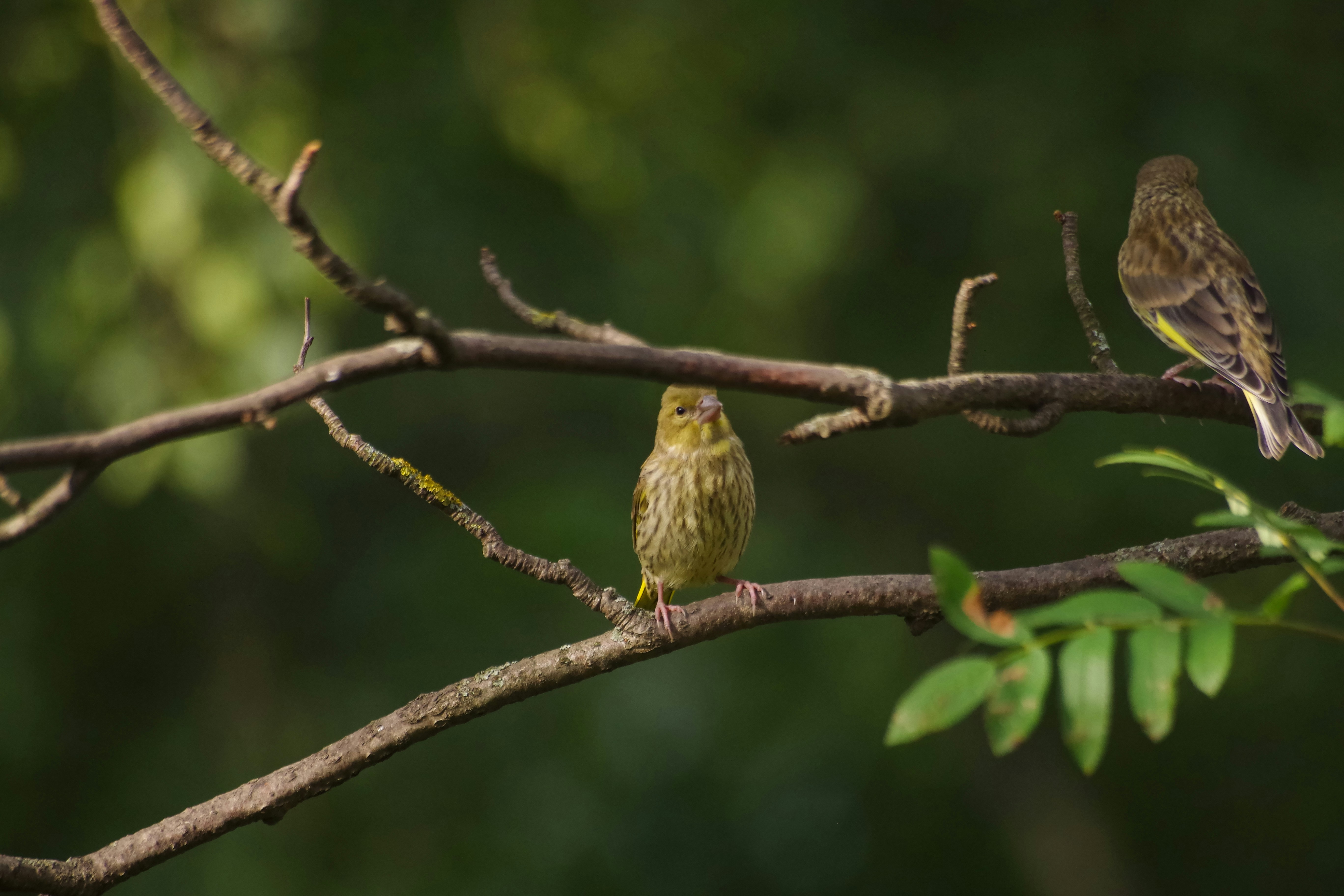 Photo by simonkuznetsovphoto