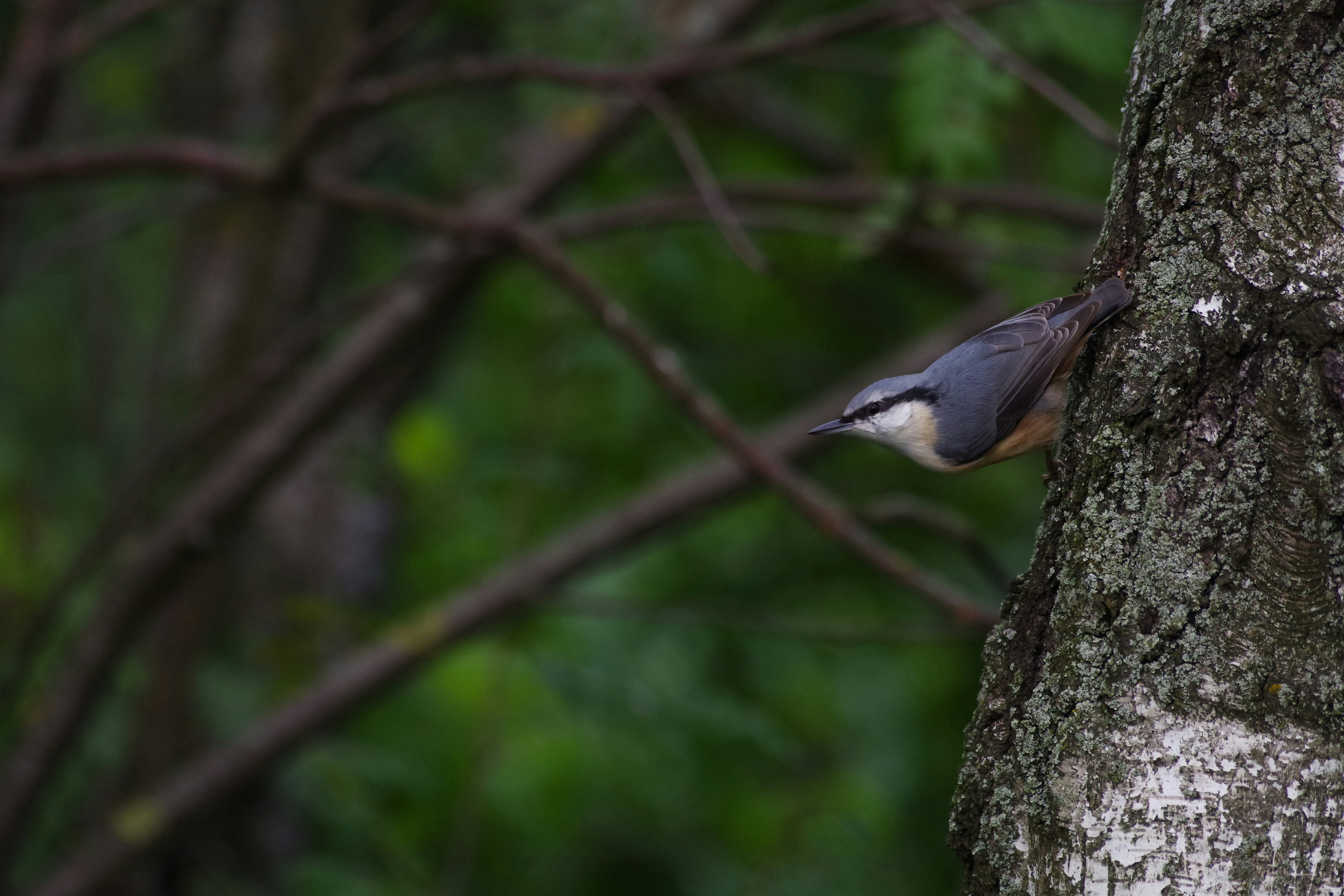 Photo by simonkuznetsovphoto