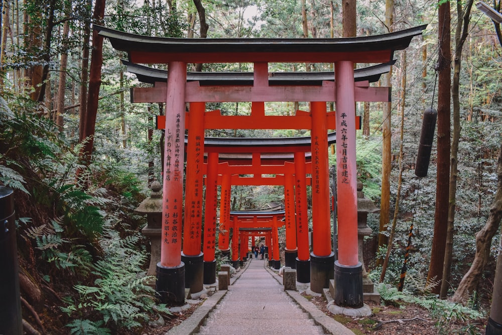 pathway of red torii gates near trees