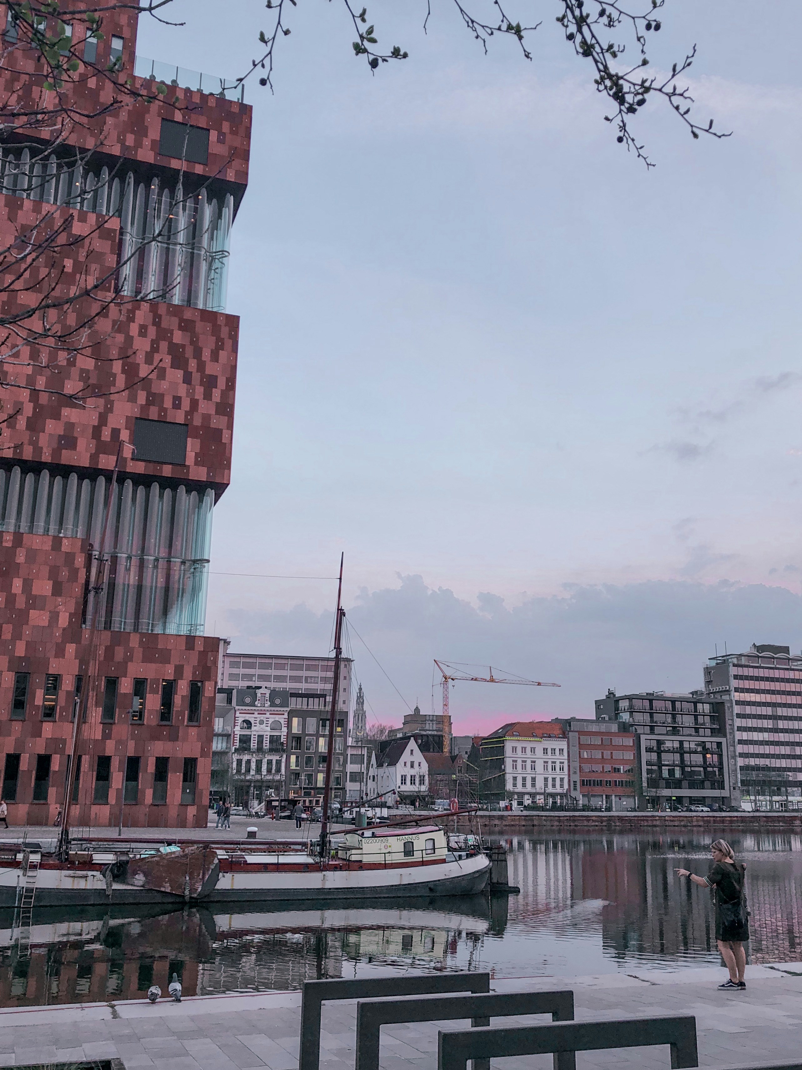 brown building