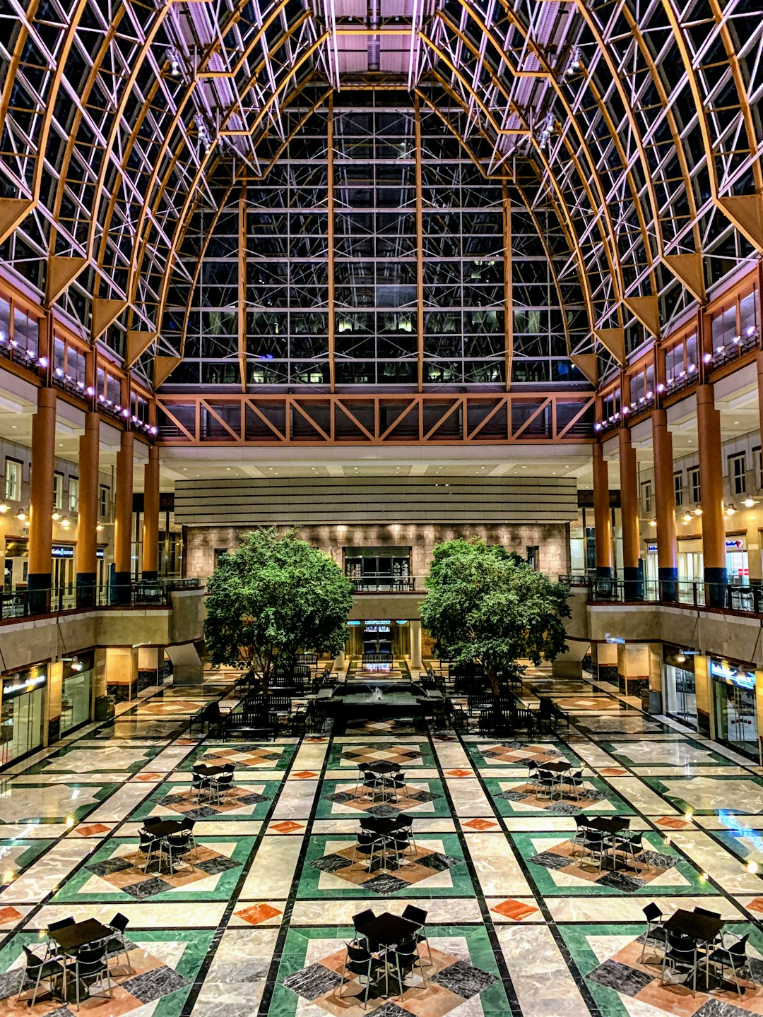 trees inside building