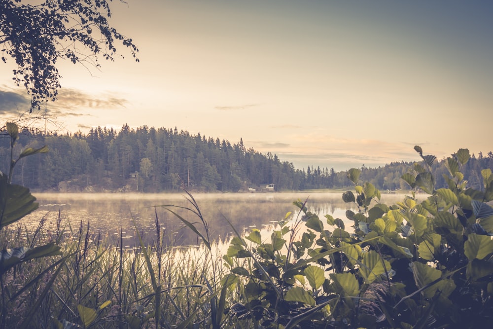 landscape photo of a lake