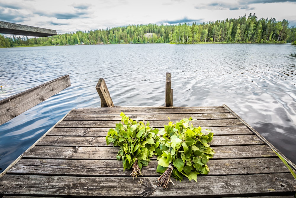 brown wooden dock at a lake