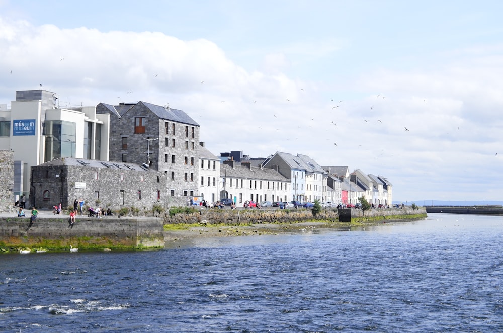 gray concrete houses near body of water