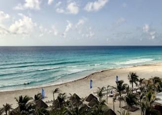 A beautiful beach in Cozumel, Mexico.