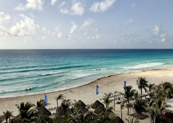 A beautiful beach in Cozumel, Mexico.