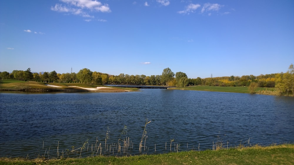 Specchio d'acqua vicino agli alberi verdi durante il giorno