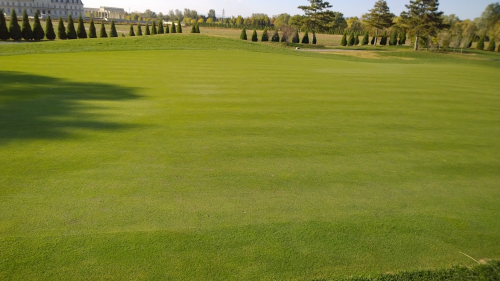 green grass field at daytime