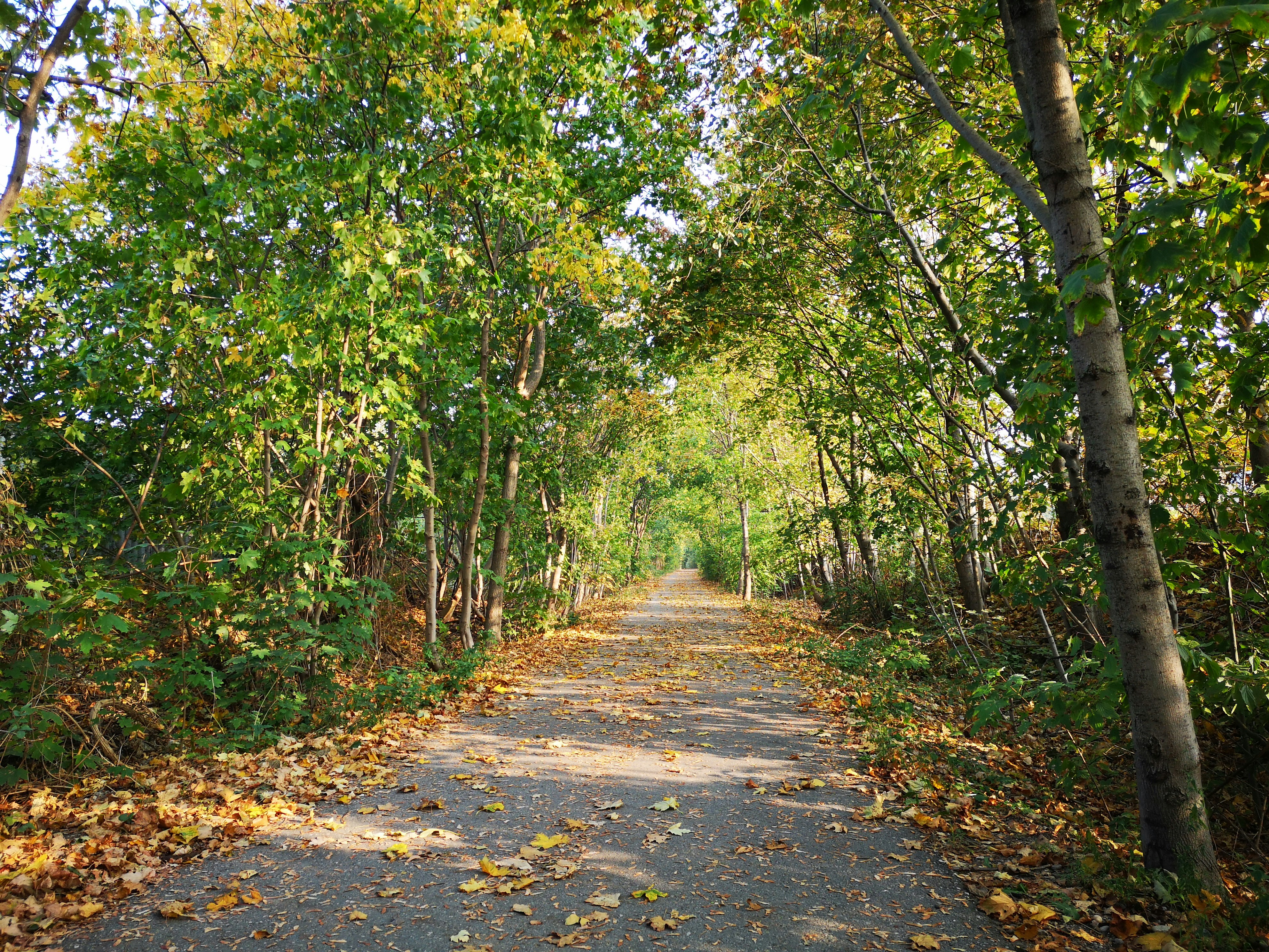 Photo by rhysnhughes