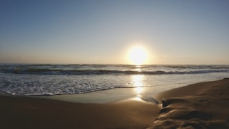 landscape photo of a beach