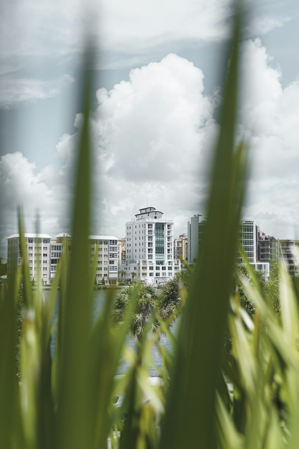 white high-rise building