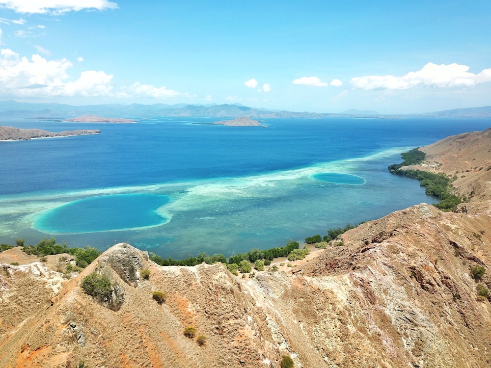 photography of seashore during daytime