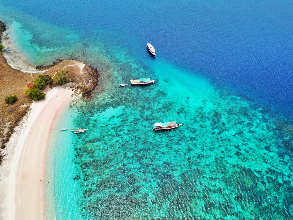 two white motorboat on body of water