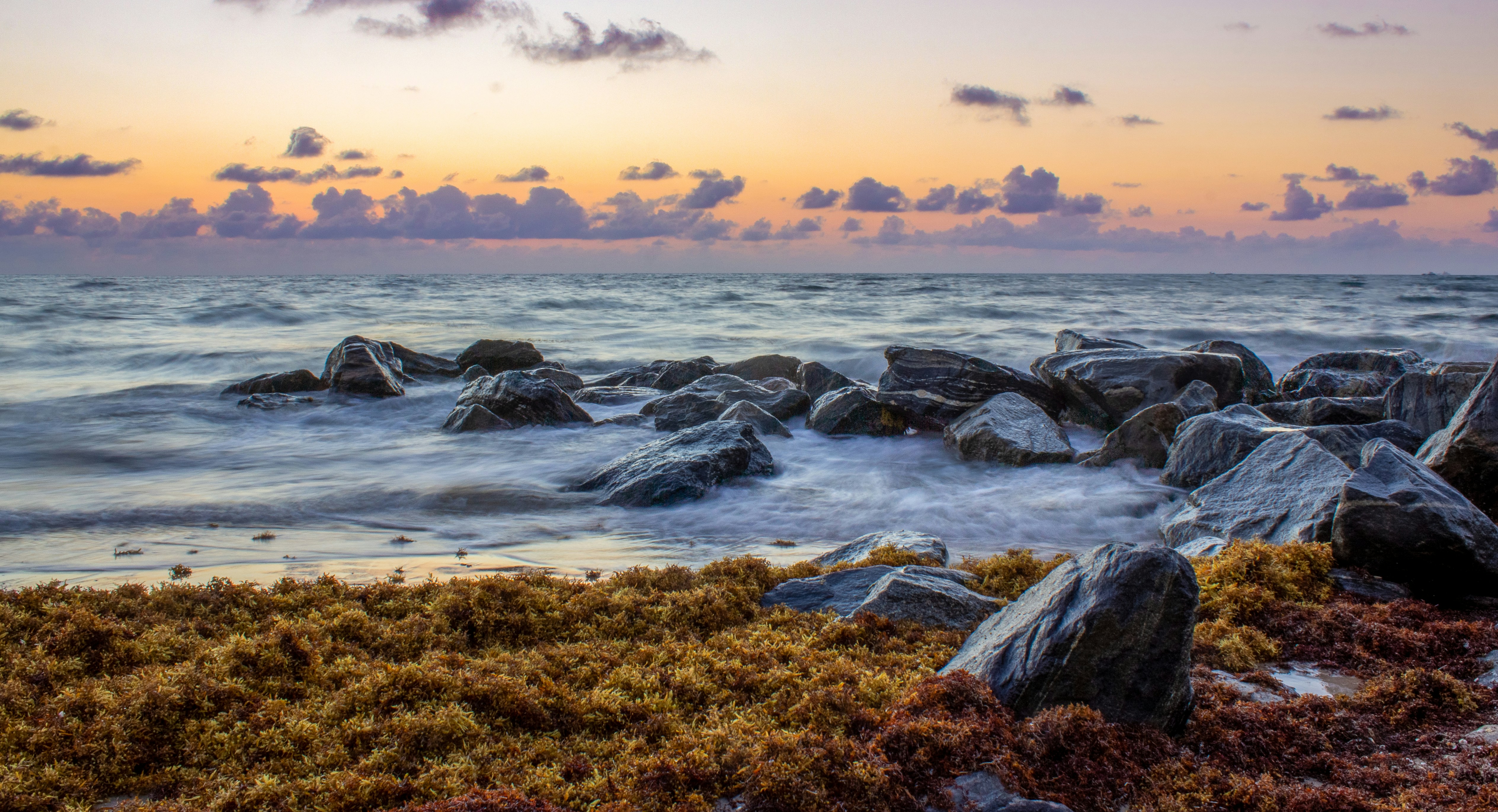 Discover the Secrets to Thriving Neanthe Bella Palms