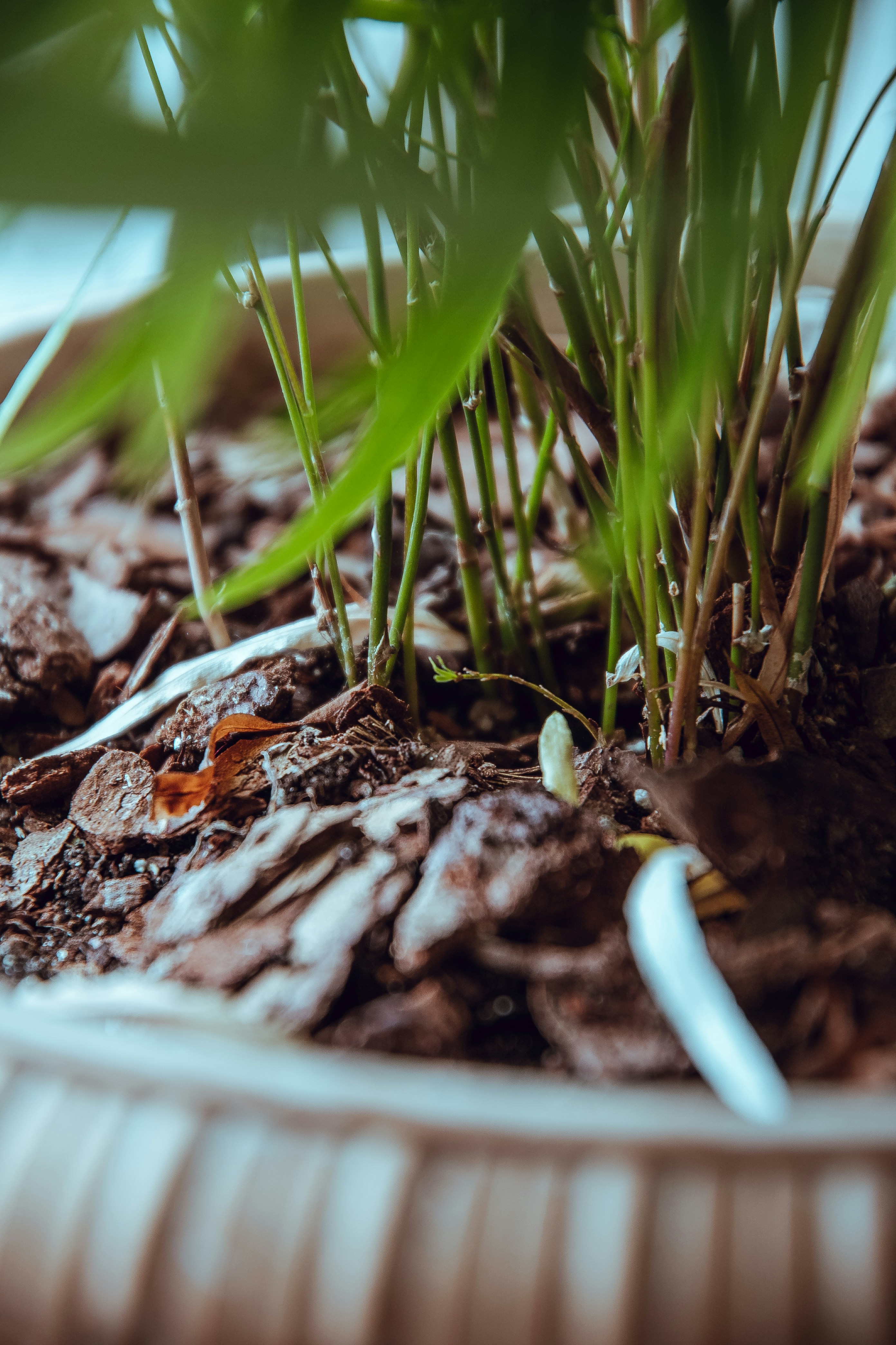 Photo by katerinalandia