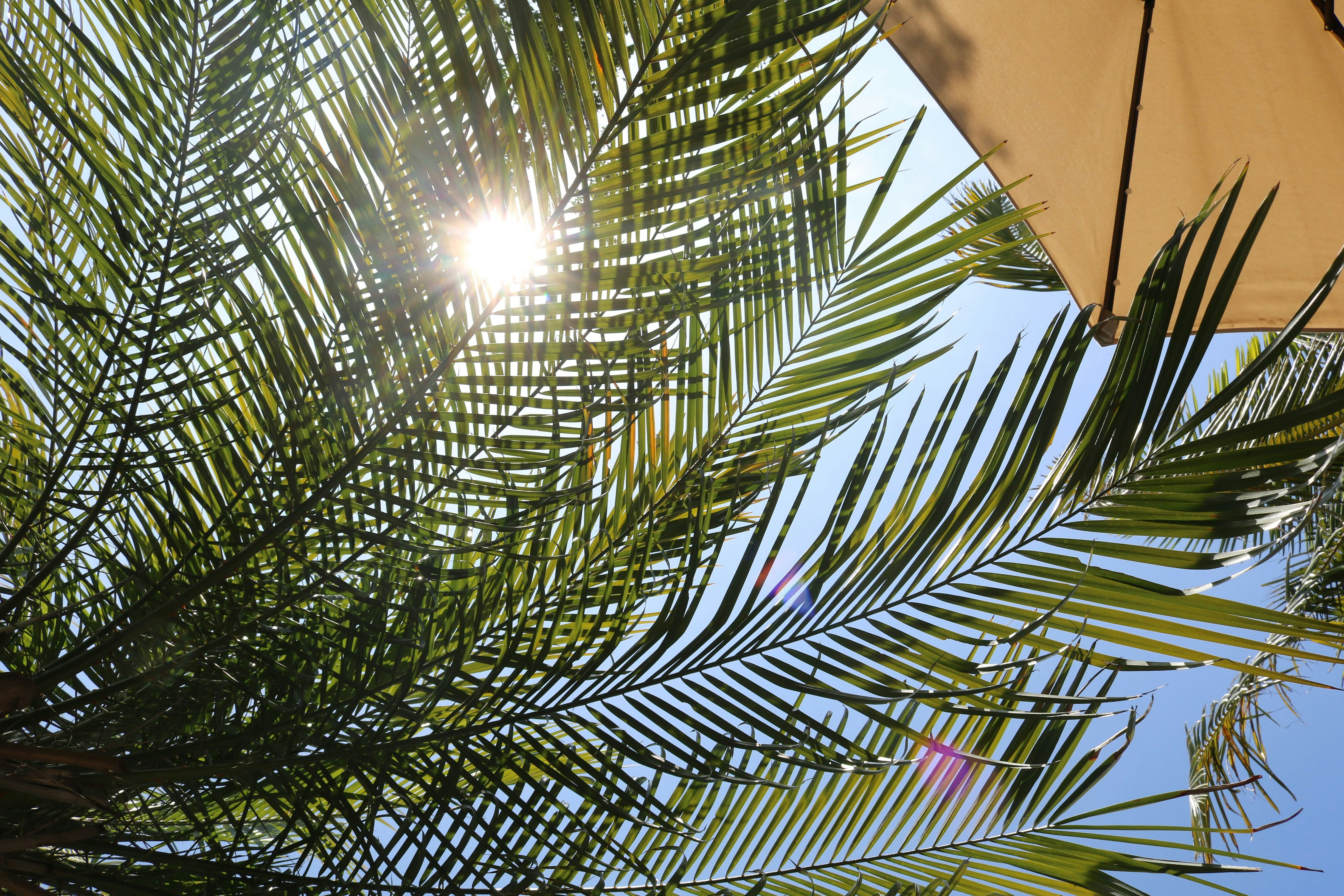 Photo by helloimalondra