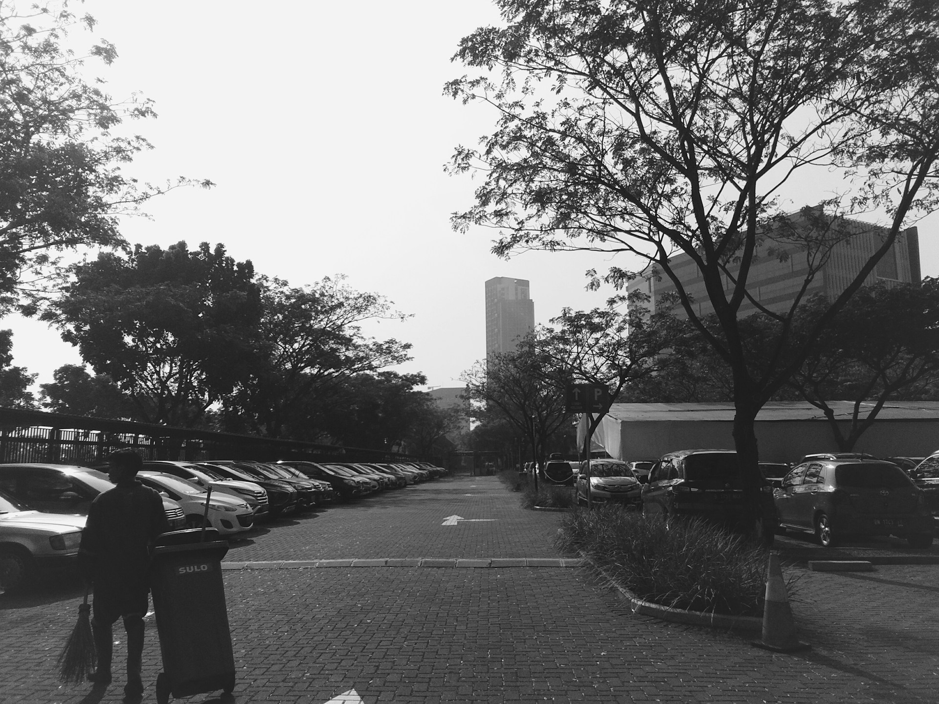 woman wearing yellow long-sleeved dress under white clouds and blue sky during daytime