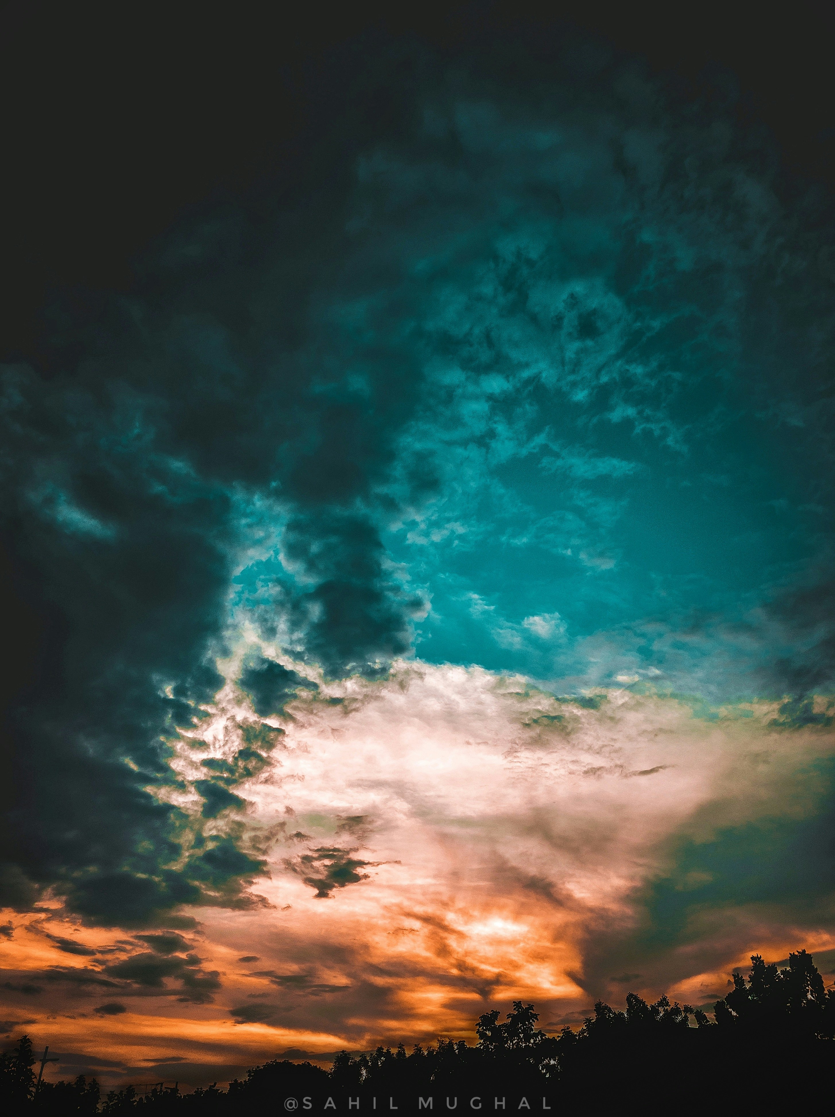 Photo by trex_mughal