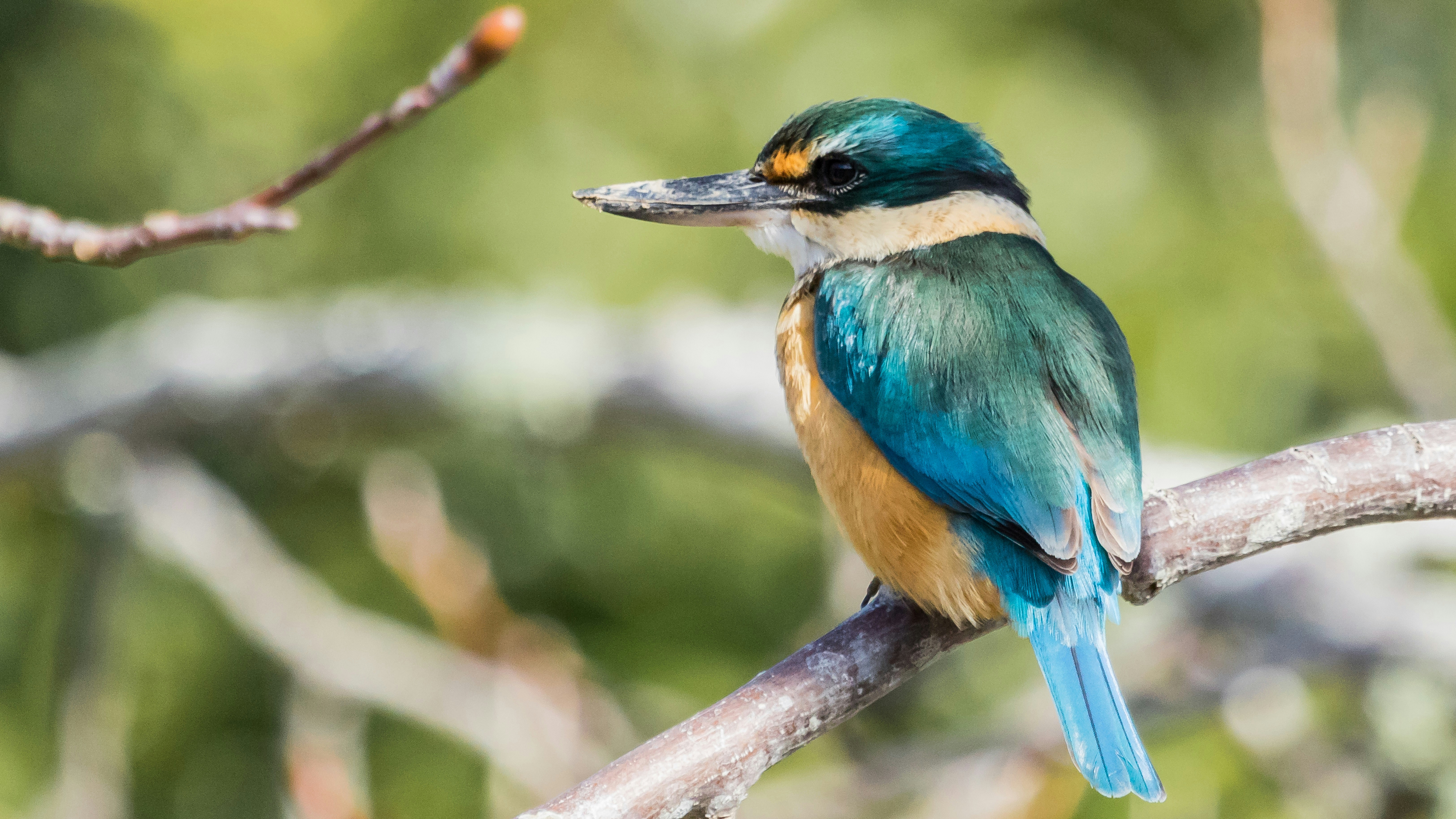 Photo by martynseddon