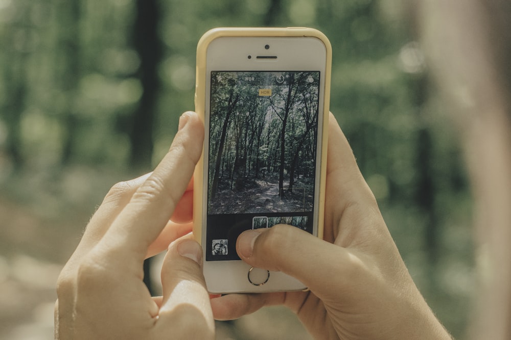 woman taking a picture of trees using iPhone