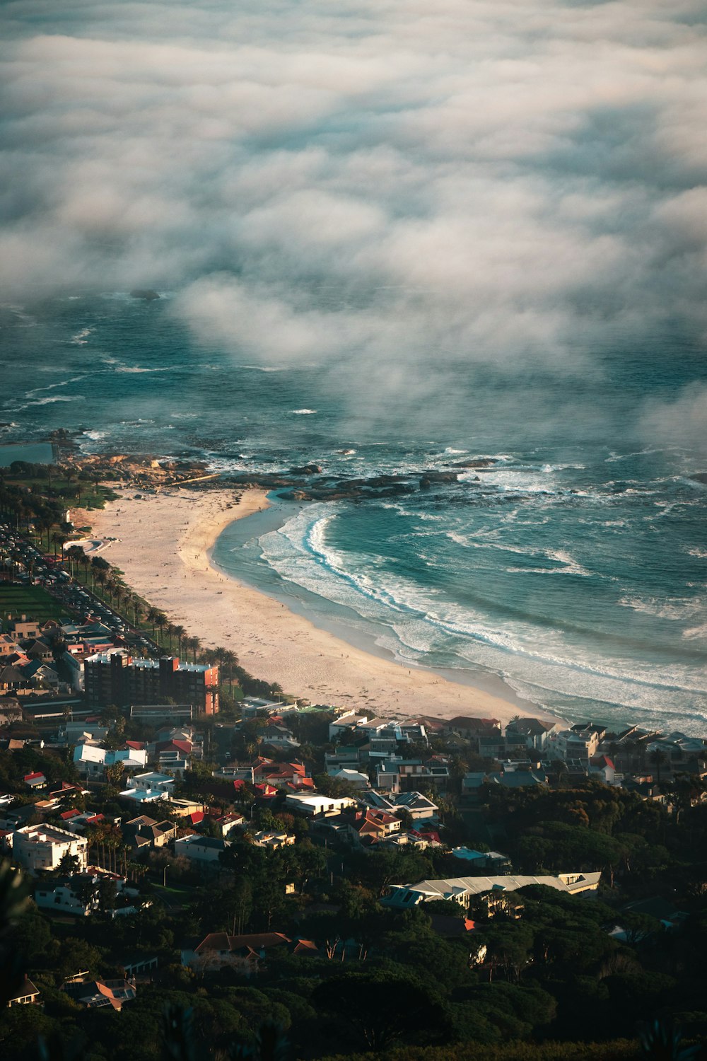 seashore during daytime