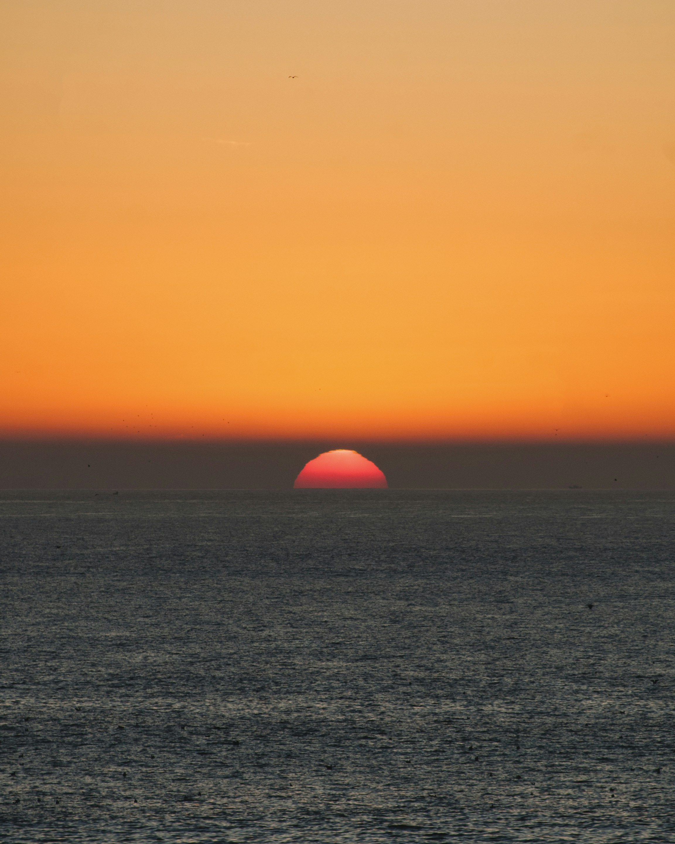 Photo by yuli_superson