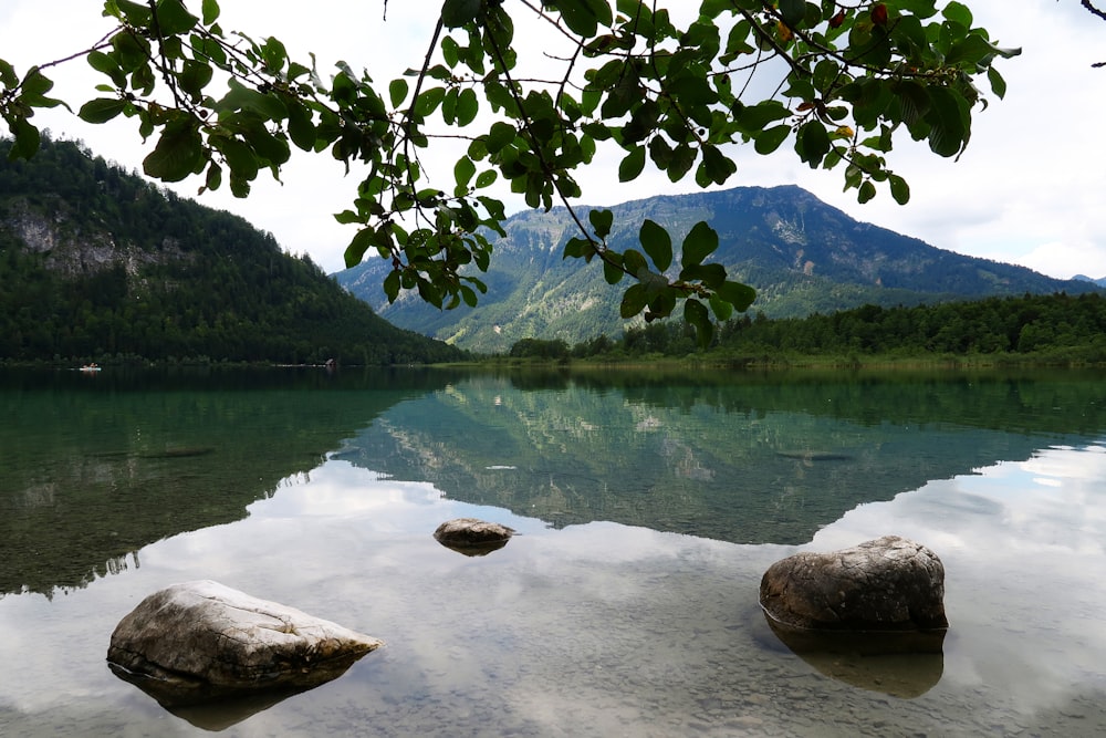 calm water during daytime