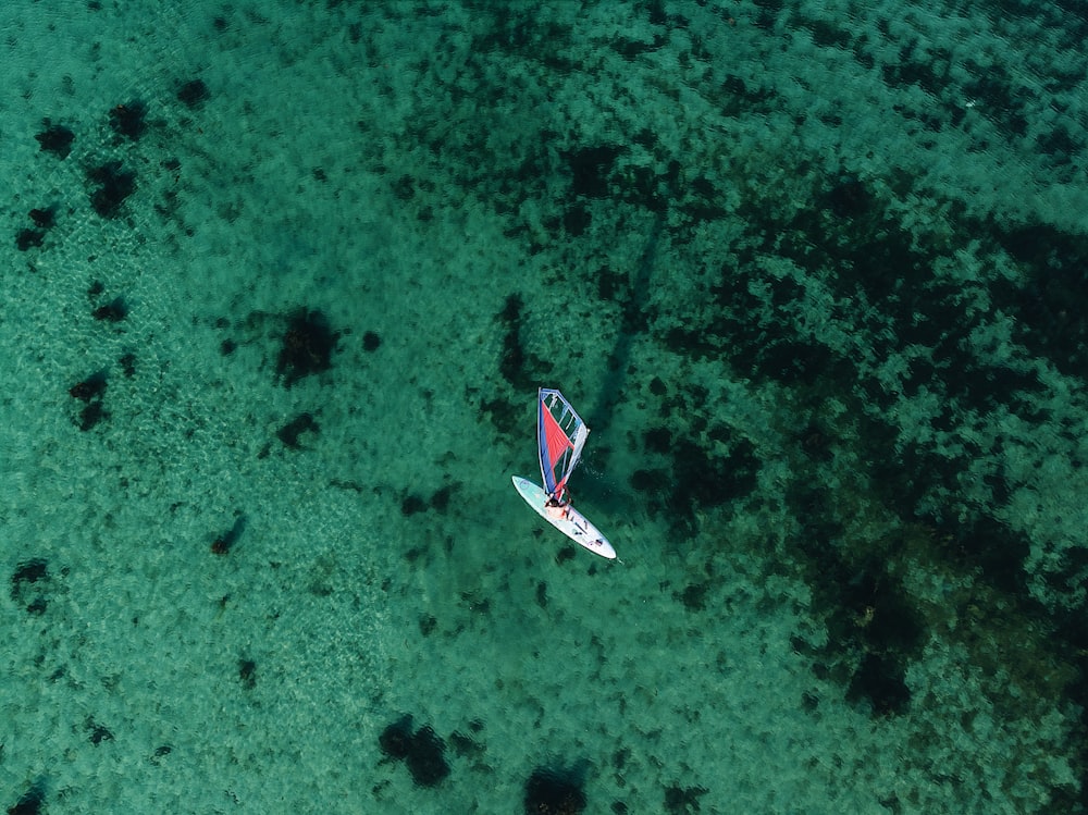 white boat