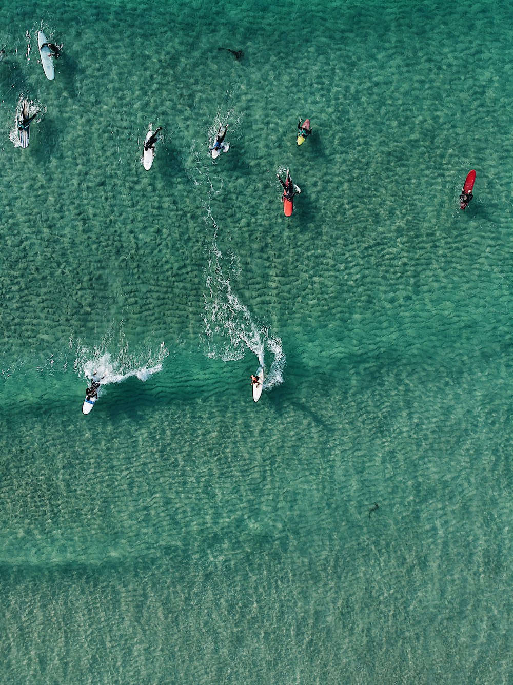 people surfing on beach