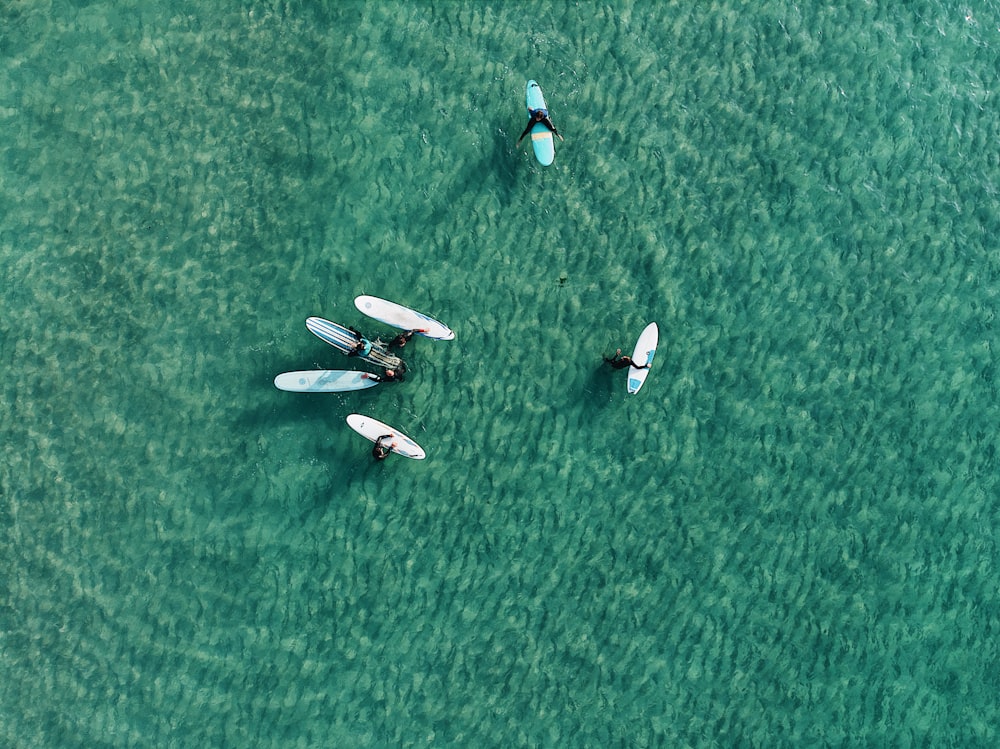 boats on calm water