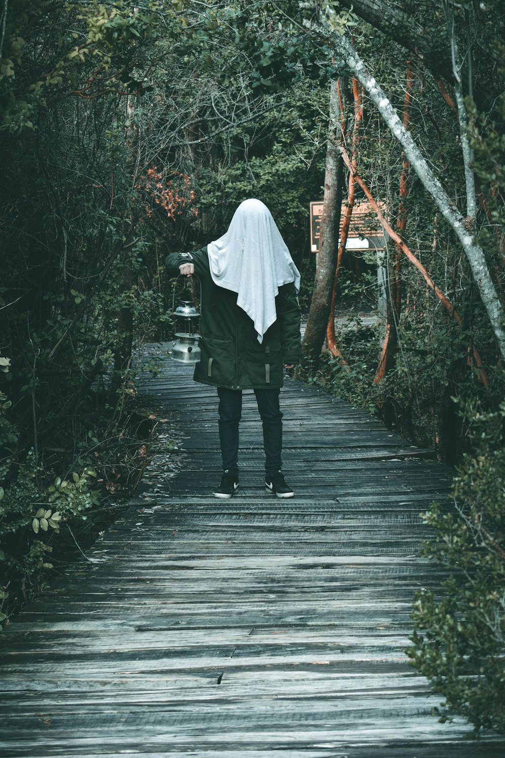 person standing on brown wooden pathway