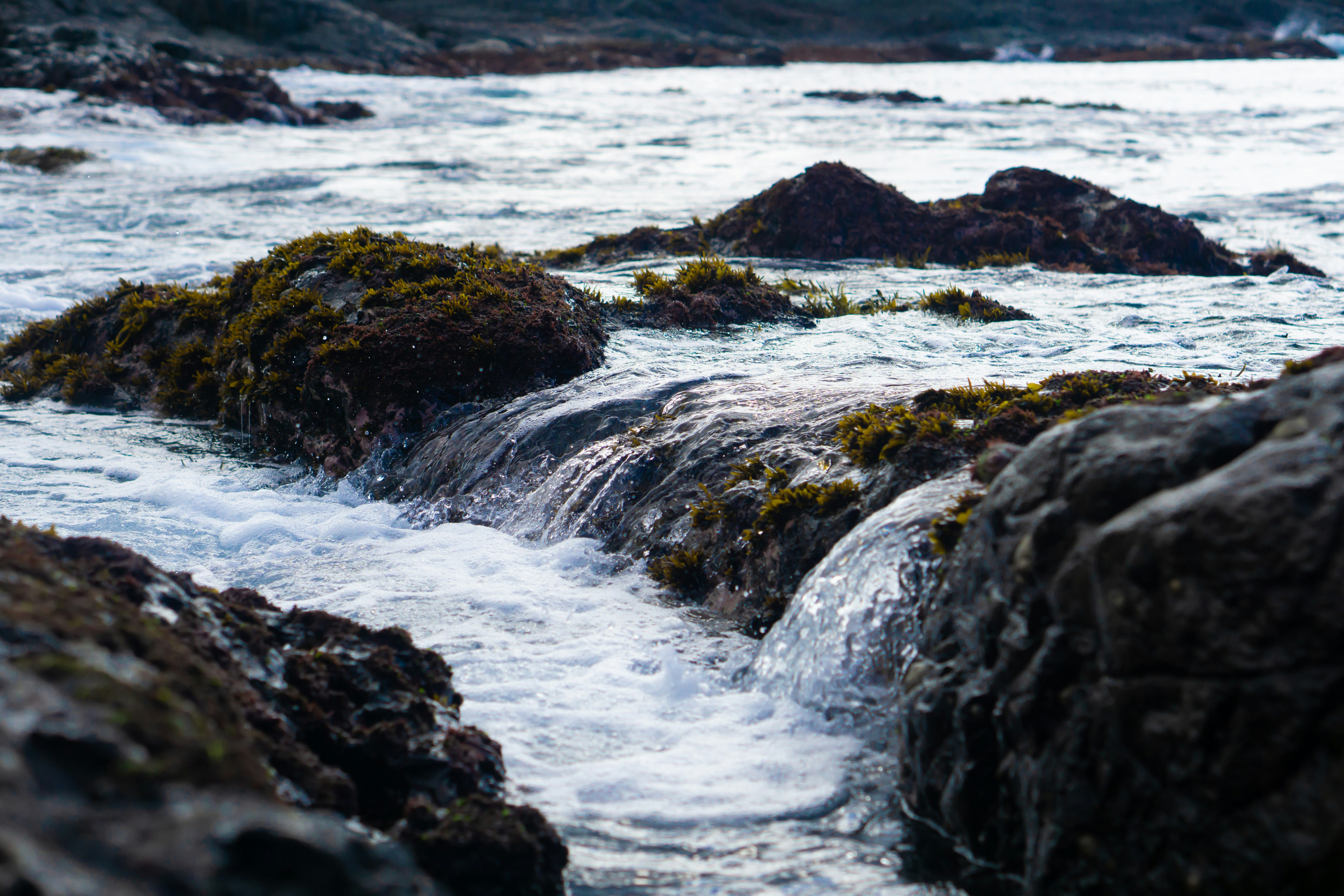 Photo by elmercanasjr