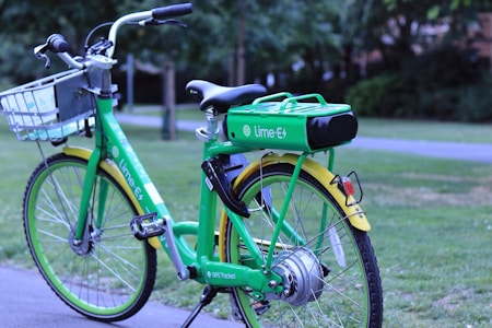 A green electric bike with a basket and labeled 'Lime-E' is parked on a paved path in a grassy park. The bike has a prominent yellow rear wheel cover and is equipped with a motor on the rear wheel.