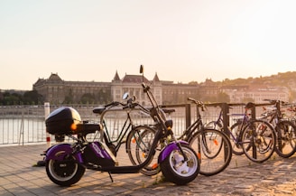 Multiple bicycles and an electric scooter are parked on a cobblestone path by a railing overlooking a large river. In the background, a grand historic building is visible across the river under a clear, pale sky as the sun sets, casting a warm glow over the scene.