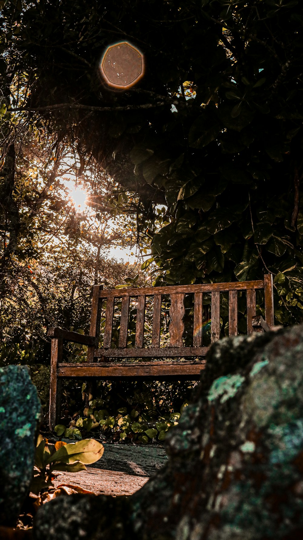 brown wooden bench