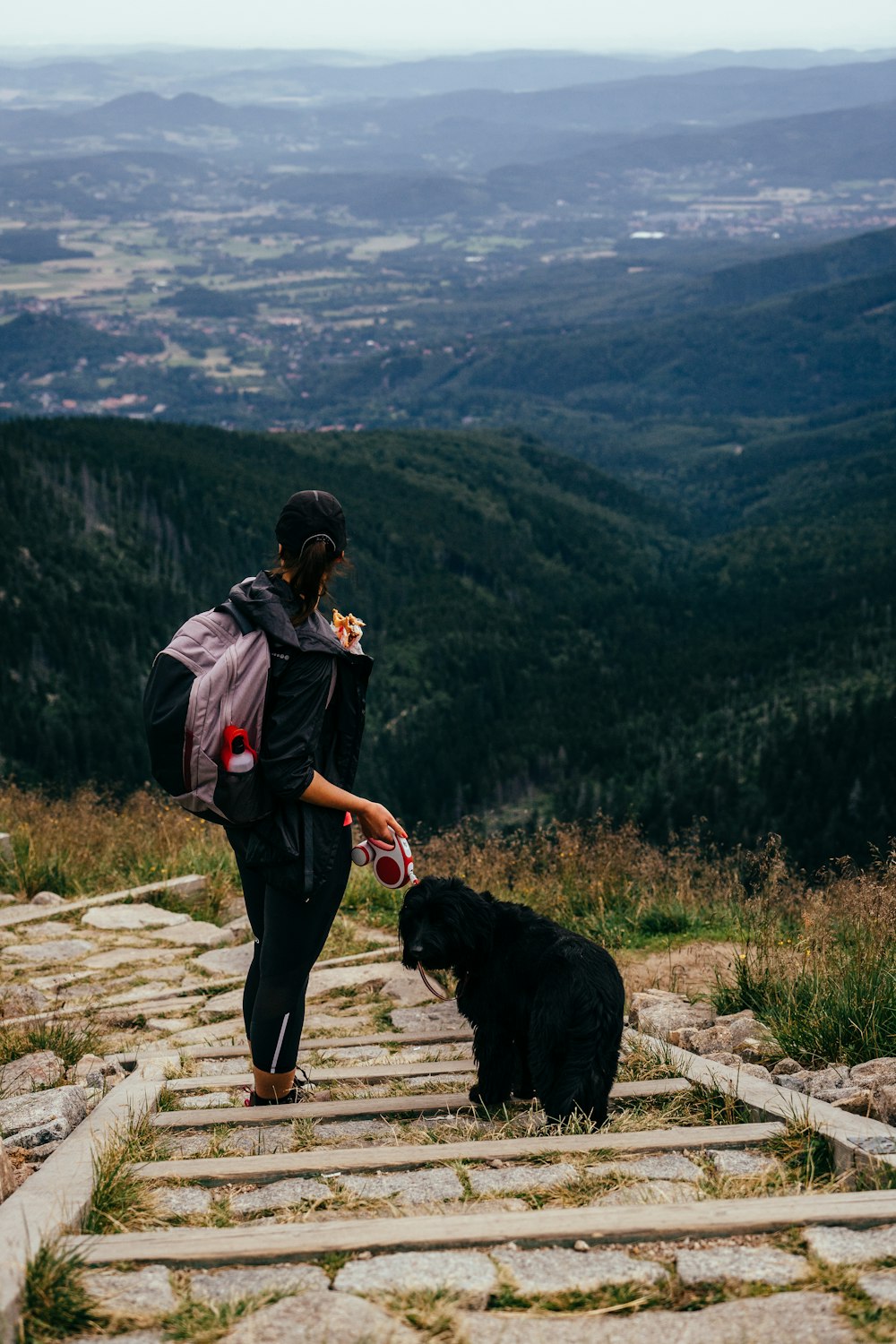 woman standing near dog during daytime