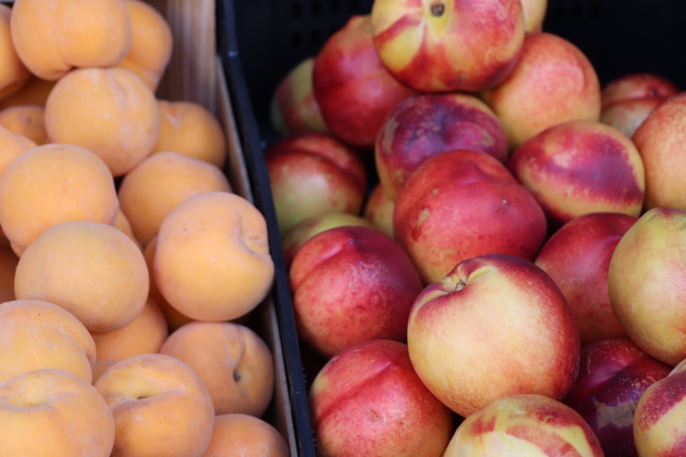 red and yellow peach fruits