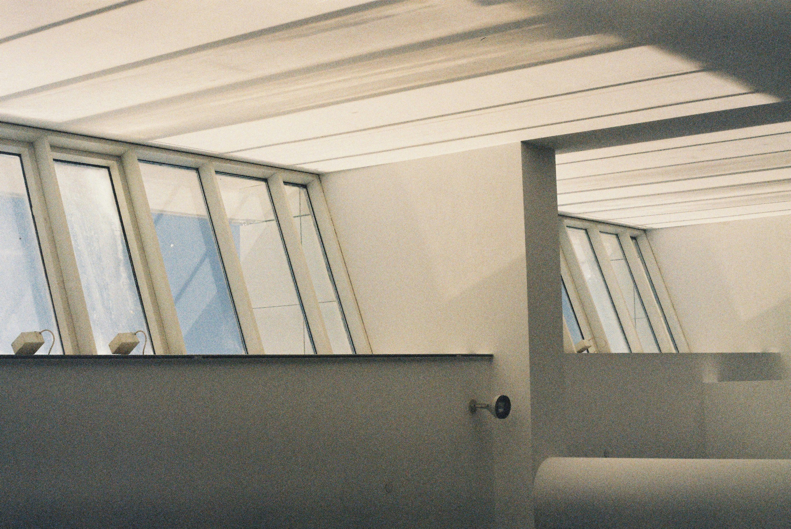 Photo by hariboisverygood