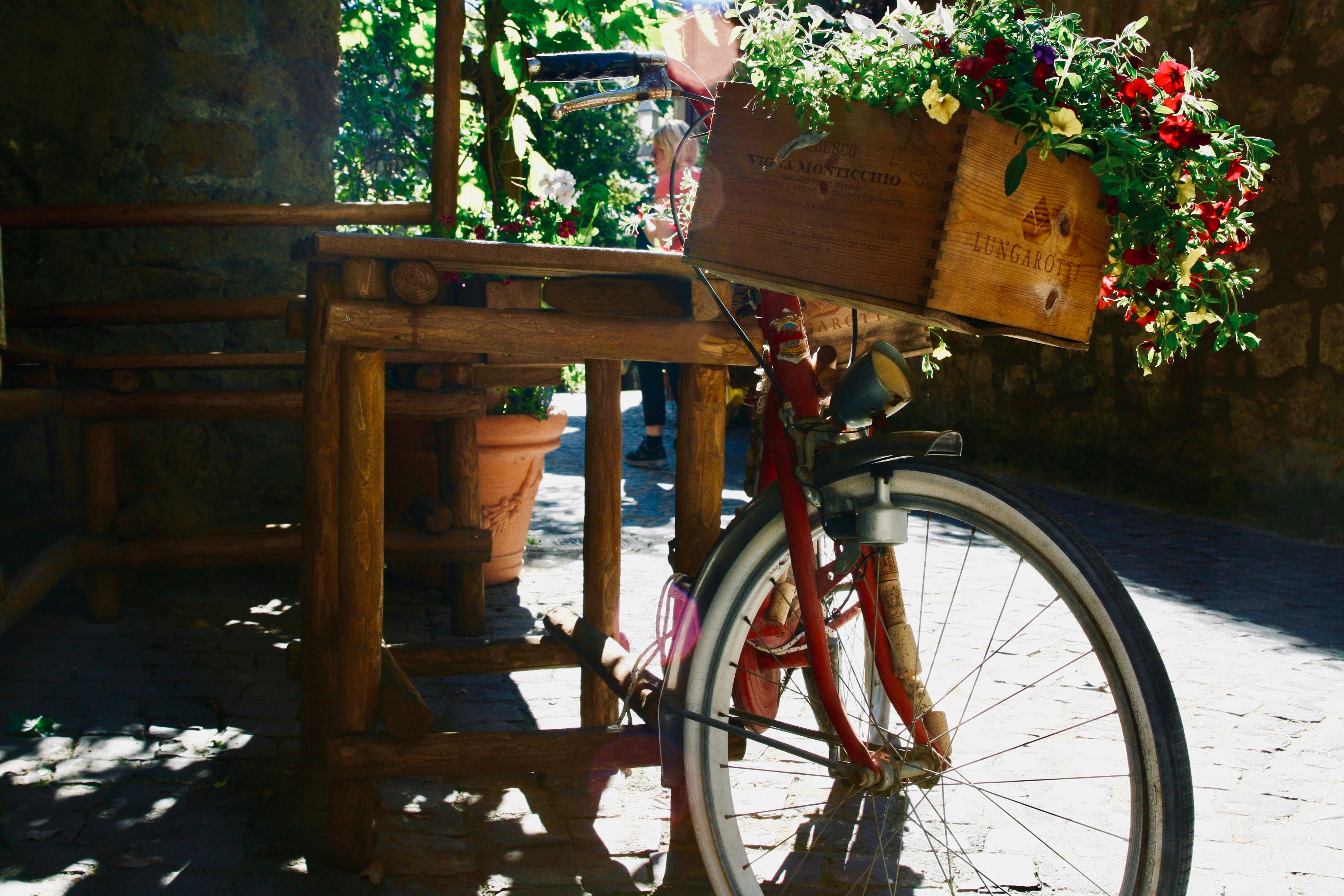Premium Bicycle Logistics Service