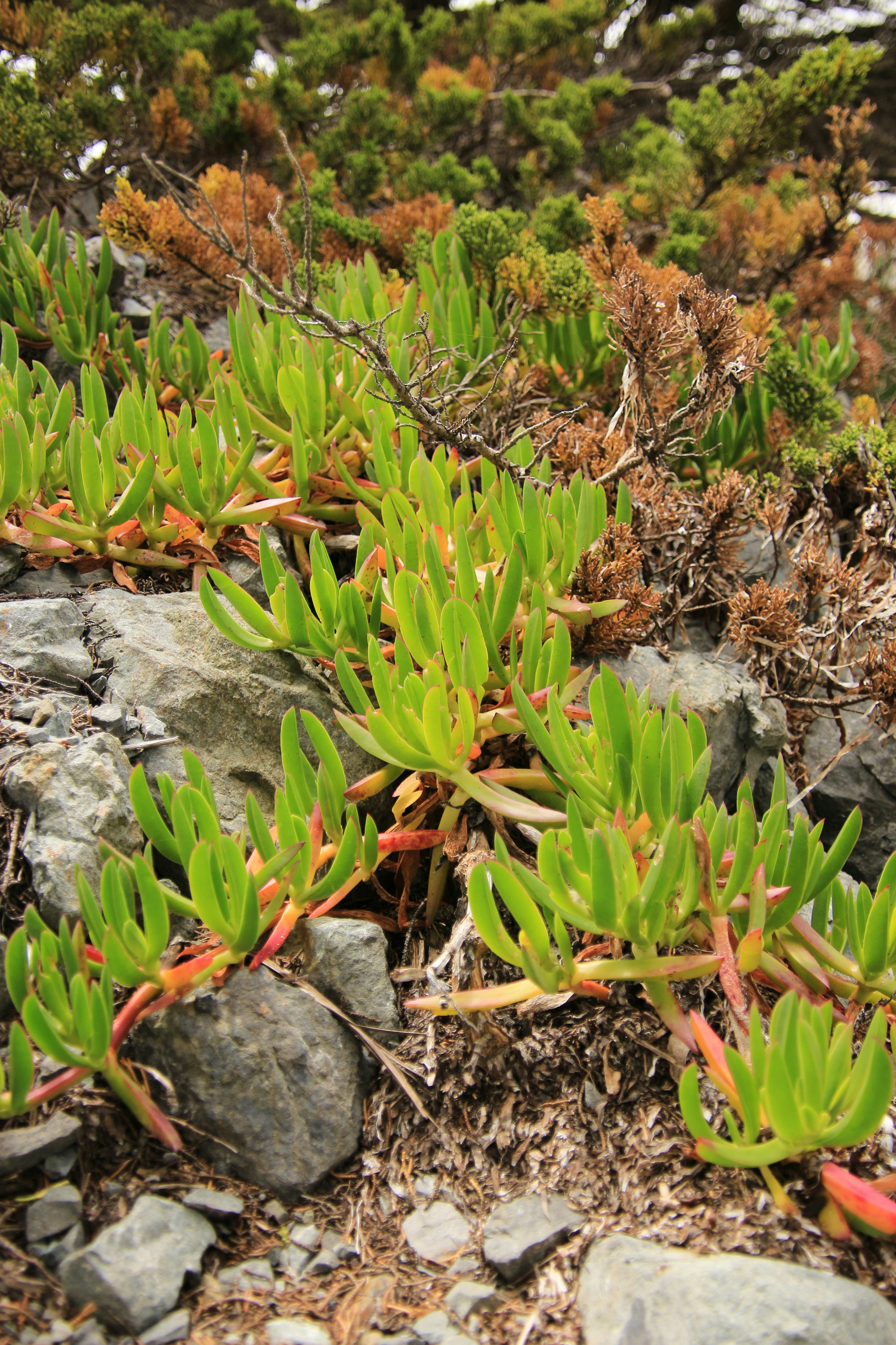 Photo by thinkfastok