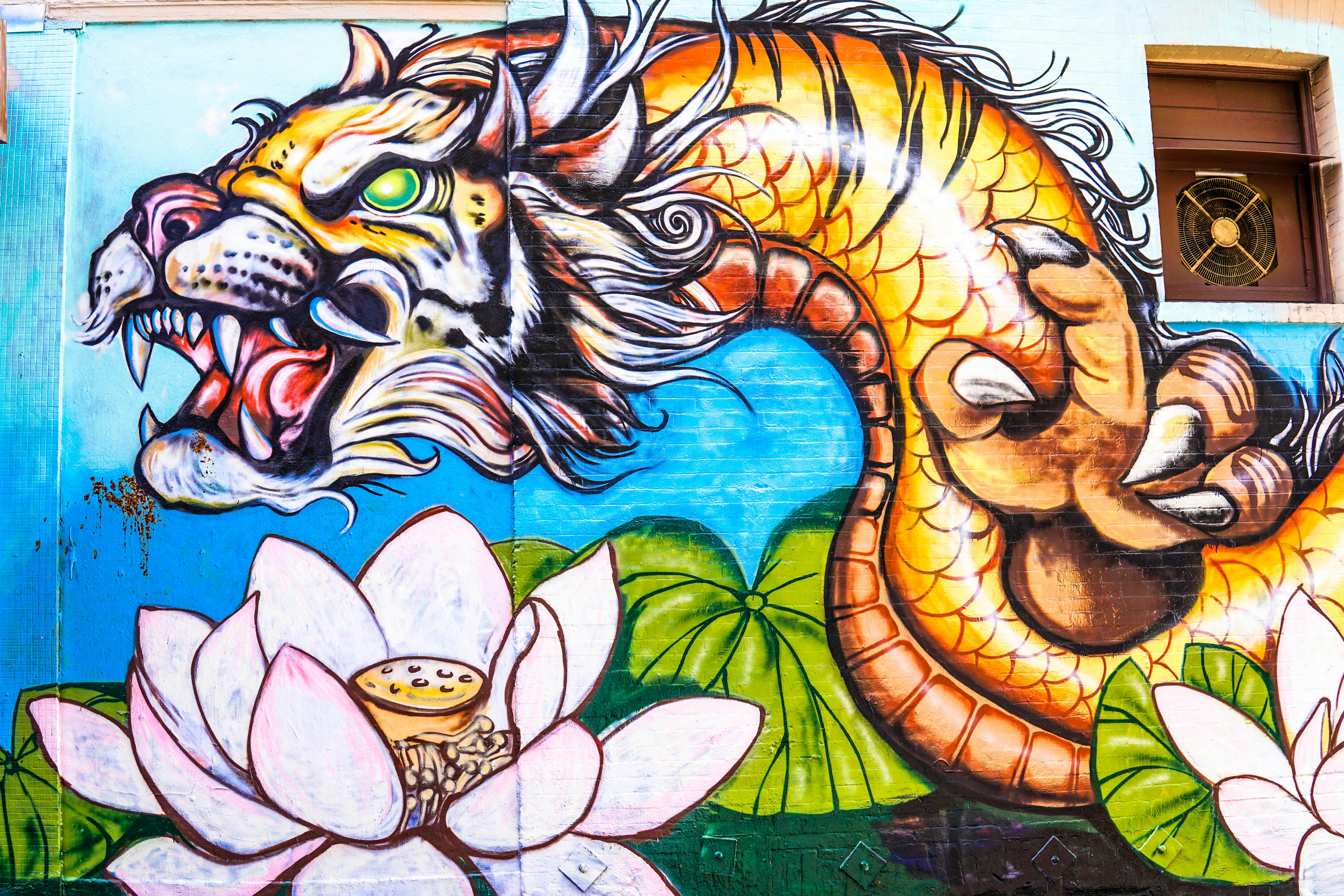 illustration of dragon and flower