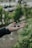 A satisfied user showcasing their neckband in a park.