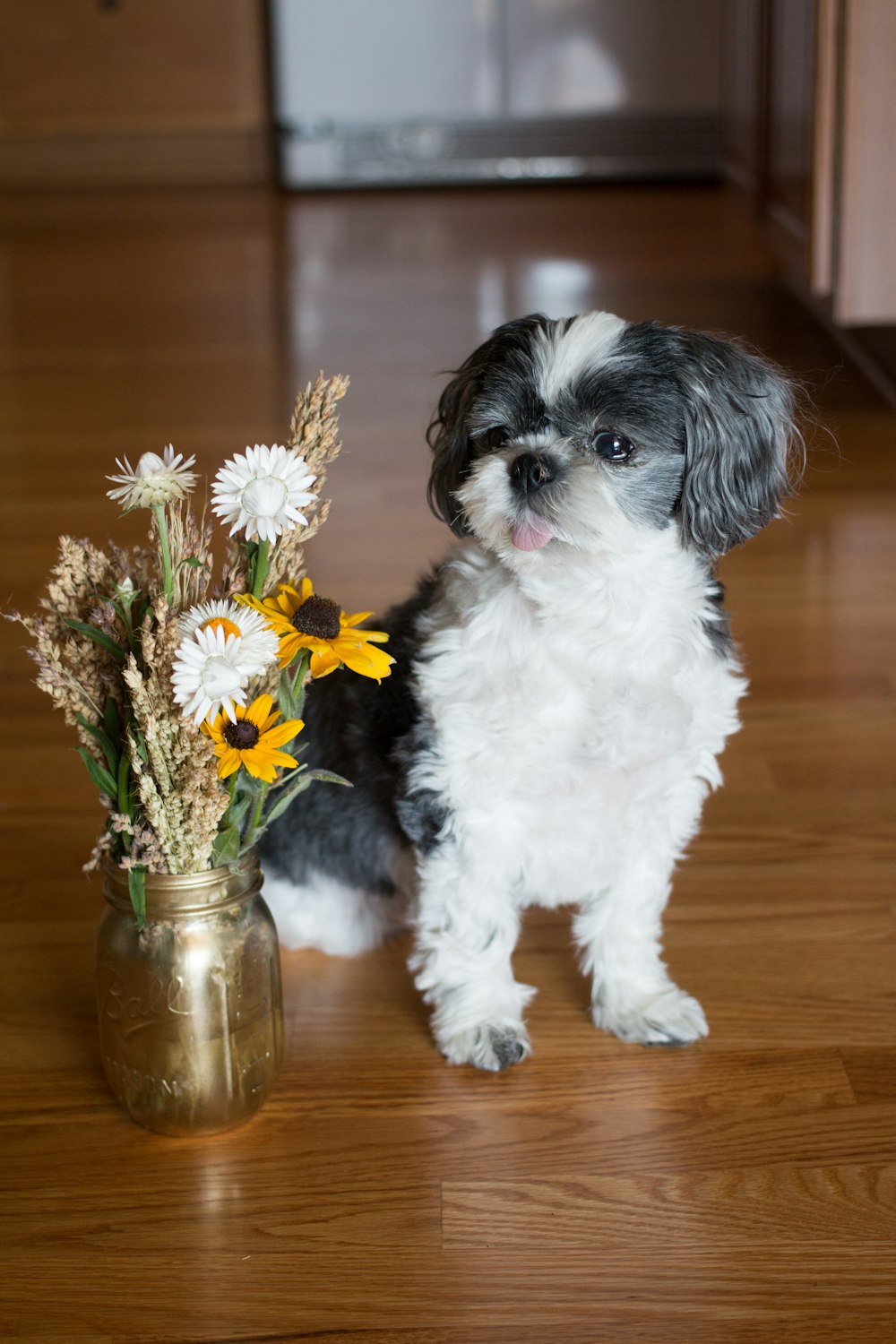 dog near flower